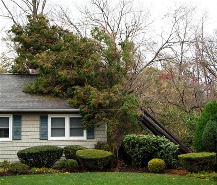 Residential home with a tree that has fallen on the right side of the roof
