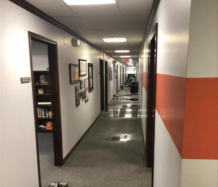 Hallway with grey carpet soaked with water, multiple black doorways, white walls with an orange stripe.